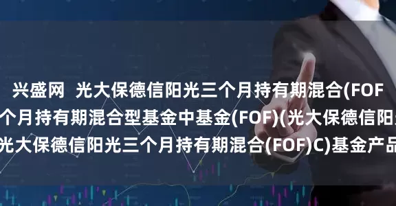 兴盛网  光大保德信阳光三个月持有期混合(FOF)C: 光大保德信阳光三个月持有期混合型基金中基金(FOF)(光大保德信阳光三个月持有期混合(FOF)C)基金产品资料概要