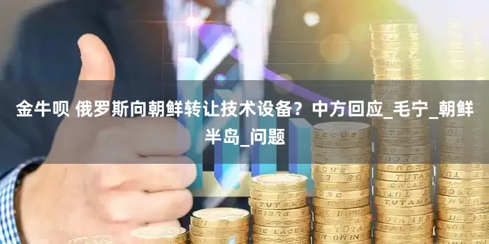 金牛呗 俄罗斯向朝鲜转让技术设备？中方回应_毛宁_朝鲜半岛_问题