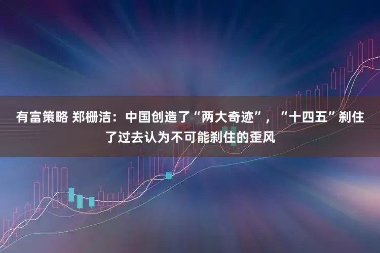 有富策略 郑栅洁：中国创造了“两大奇迹”，“十四五”刹住了过去认为不可能刹住的歪风